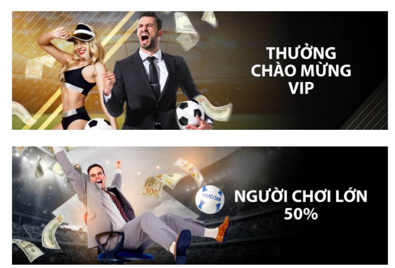 Khuyến mãi hấp dẫn tại CMD368